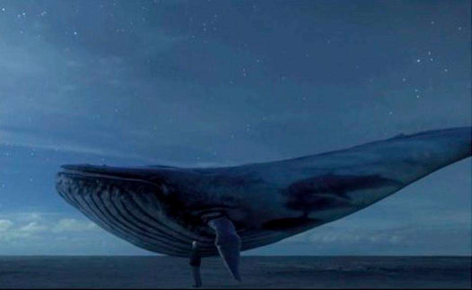 Blue whale challenge