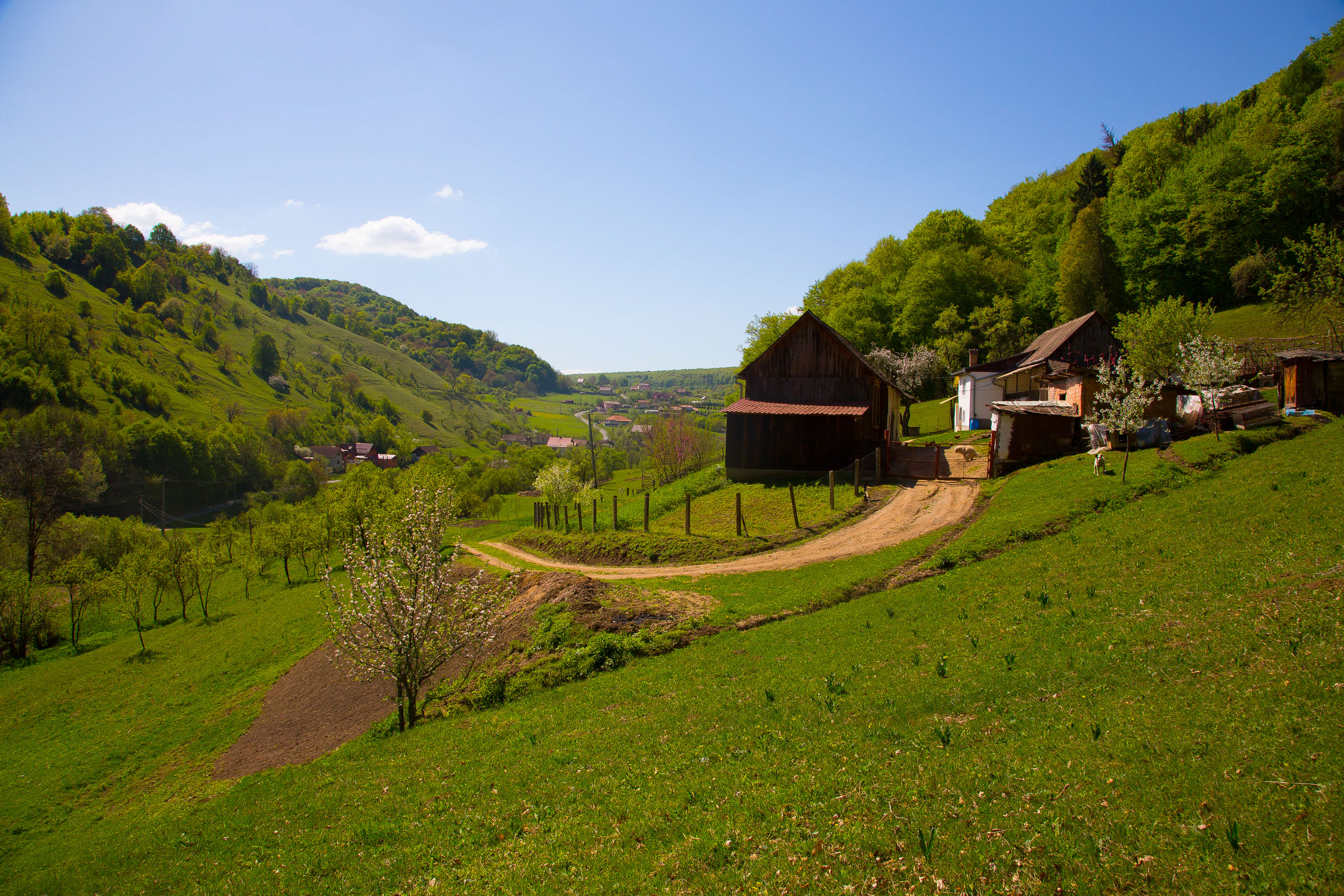 Hilfstransport nach Sighisoara (Schäßburg) in Rumänien